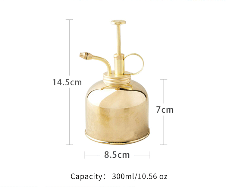 Brass Silver Spray Lianshi can Plant Spay Bottle Inner Flower Spray Mister 300ml/10.56 oz 1pcs/Lot