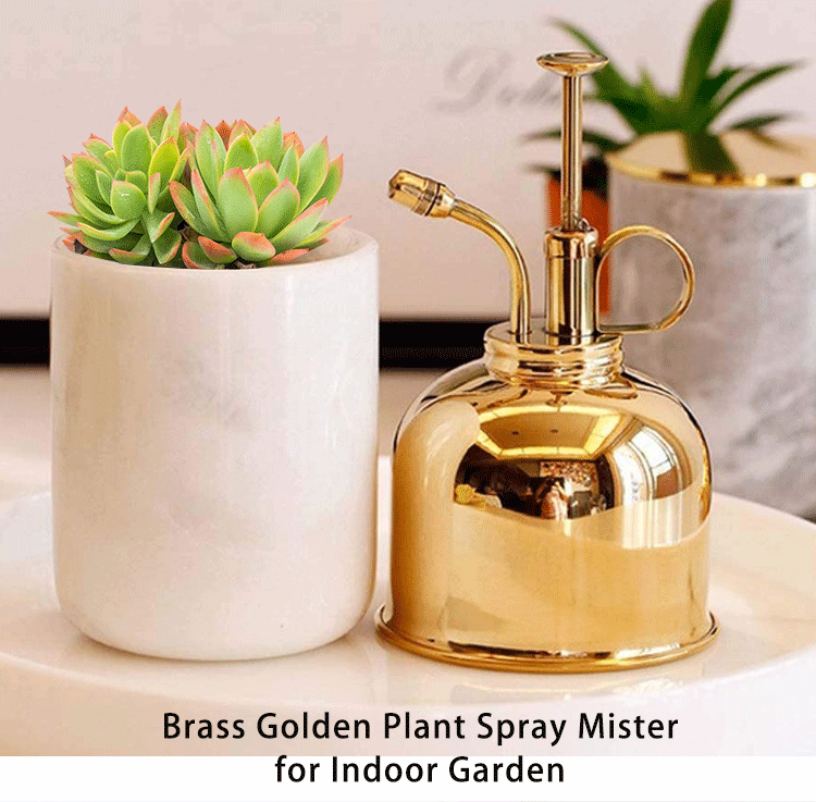 Brass Silver Spray Lianshi can Plant Spay Bottle Inner Flower Spray Mister 300ml/10.56 oz 1pcs/Lot